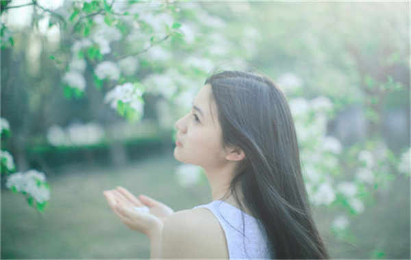 灵寿验血查男女几周可以验(验血查男女结果图)